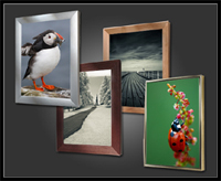 Image frames
